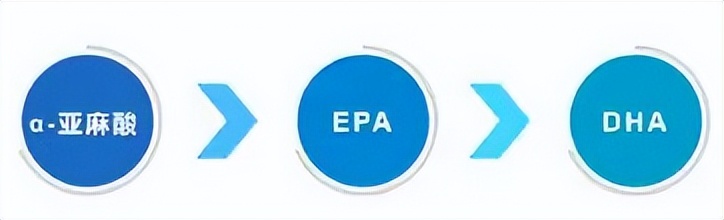 omega-3脂肪酸包含哪些,孕妇能吃omega3吗