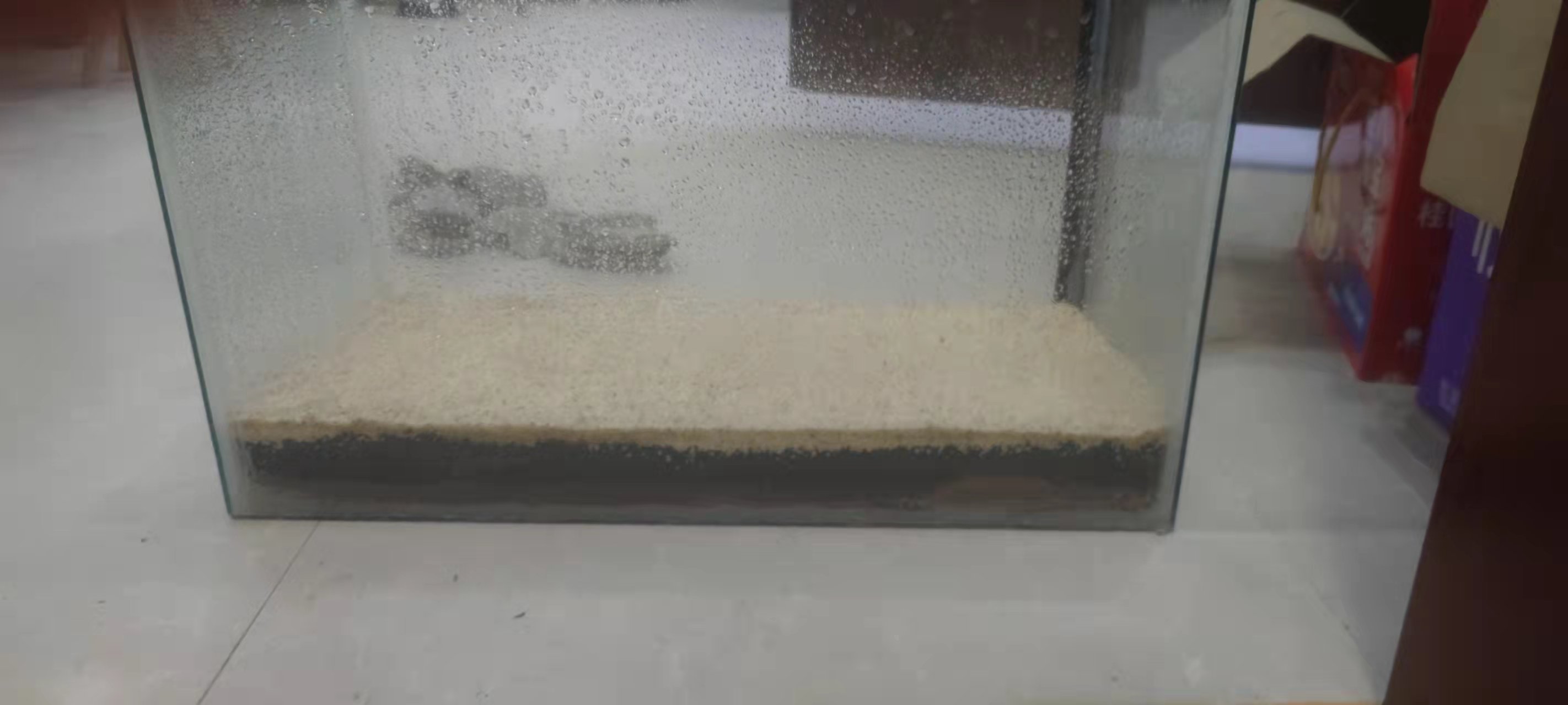 惠州老式陶瓷缸造景流水养鱼教程,新手养鱼在小鱼缸里面怎么造景