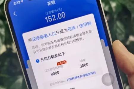 欠花呗不还款的后果,欠花呗被视为拒不还款