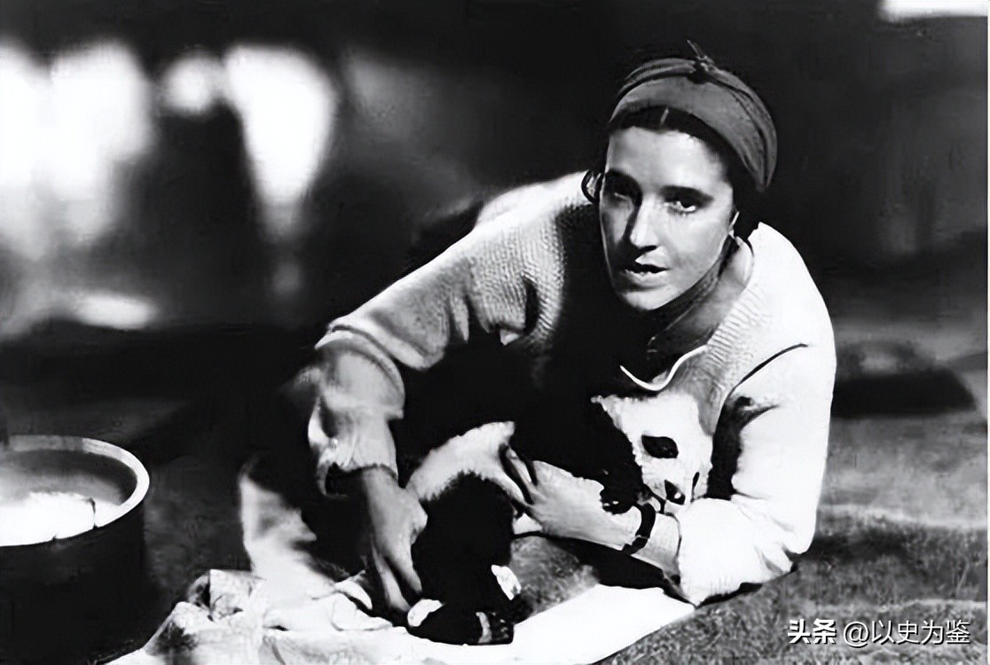 被偷的12只大熊猫,1939年被偷到英国的大熊猫