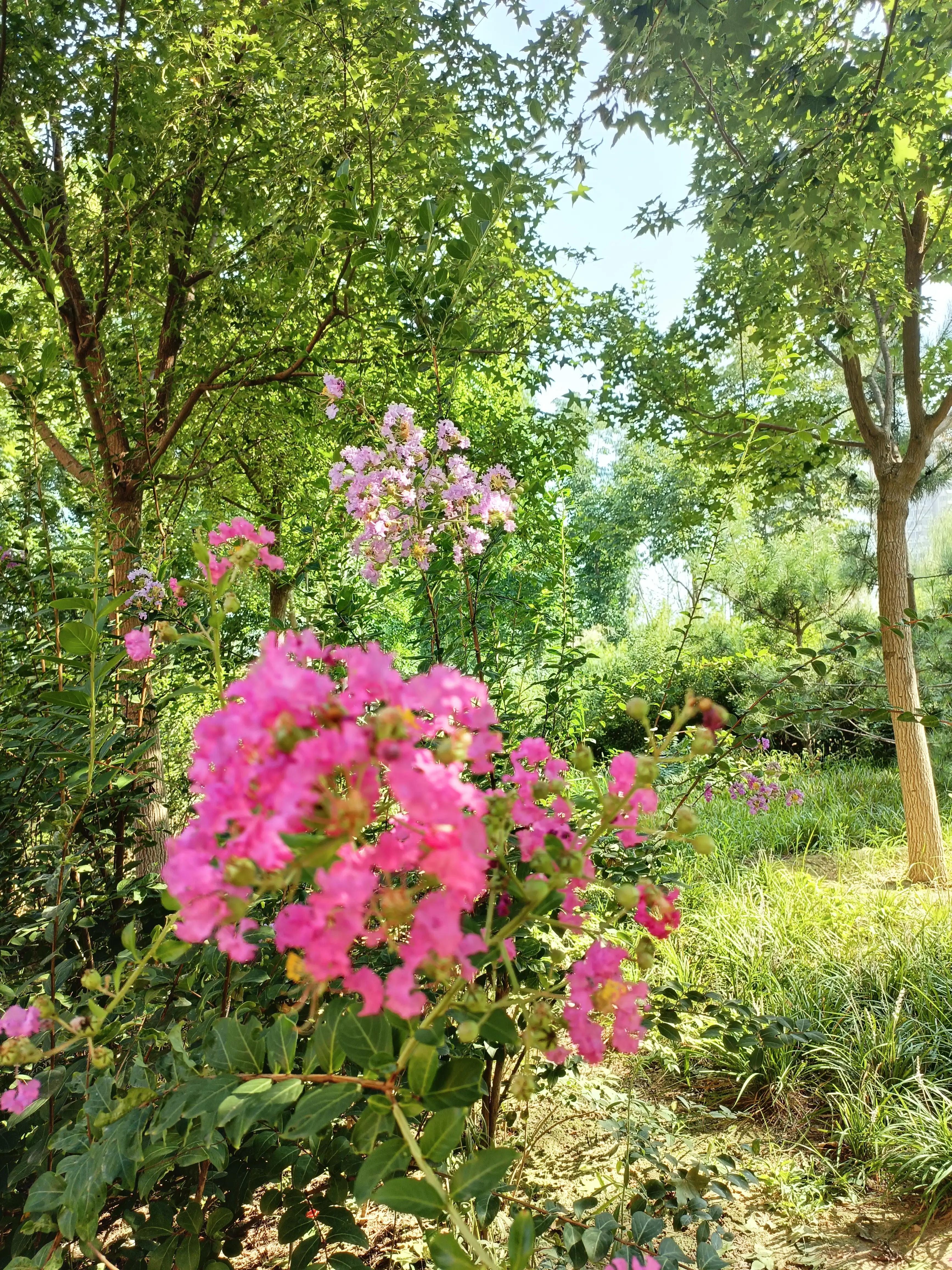 天要下雨娘要嫁人该不该去,天要下雨娘要嫁人有什么办法呢