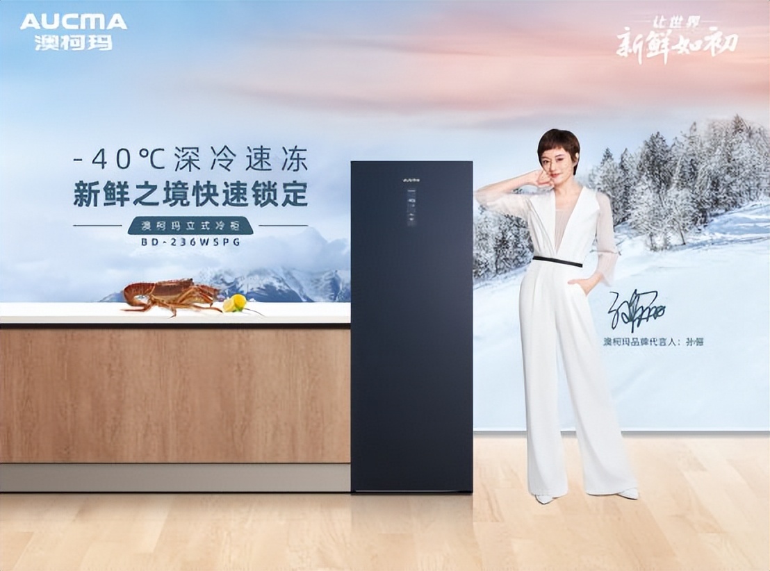 澳柯玛家用立式冷柜发布会新闻,澳柯玛风冷无霜立式冷柜讲解