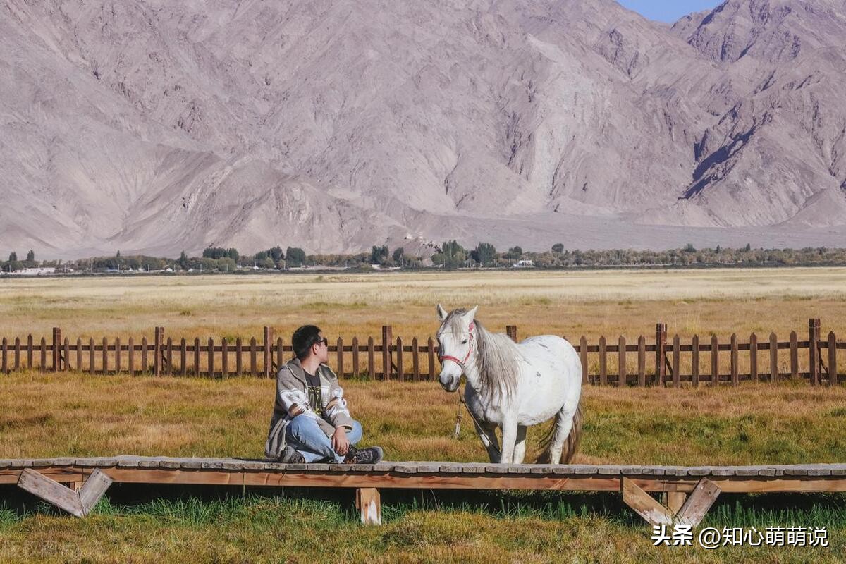 老公不愿意离婚该怎么挽回,面对丈夫冷漠妻子再不离不弃