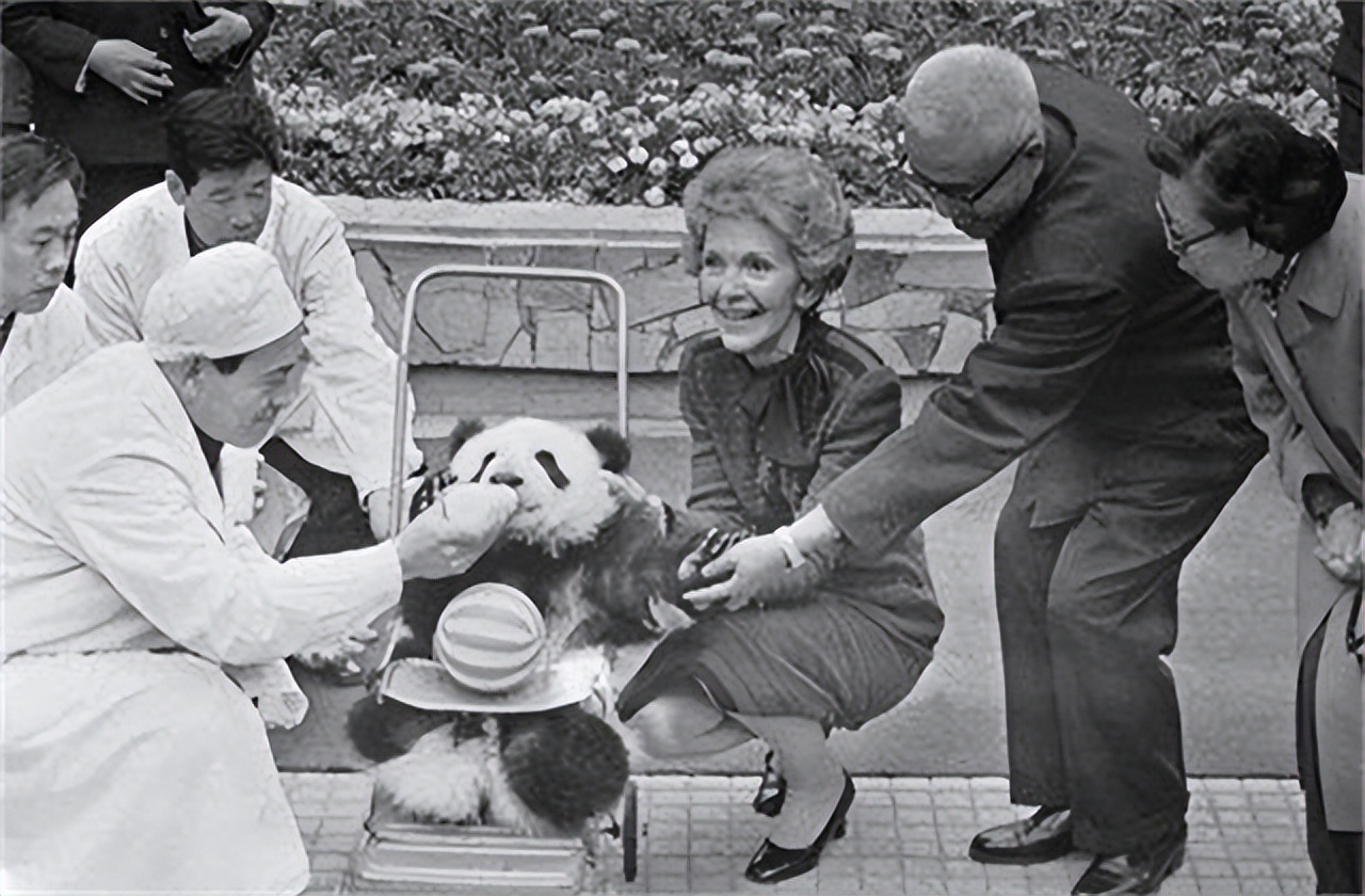 尼克松夫人对熊猫牌烟盒爱不释手，周总理：喜欢？送两只真的
