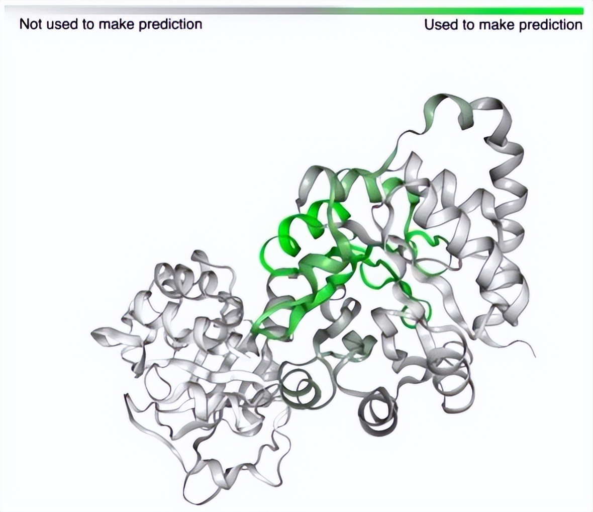 黄瓜基因组数据库怎么查基因序列,黄瓜花叶病毒基因序列