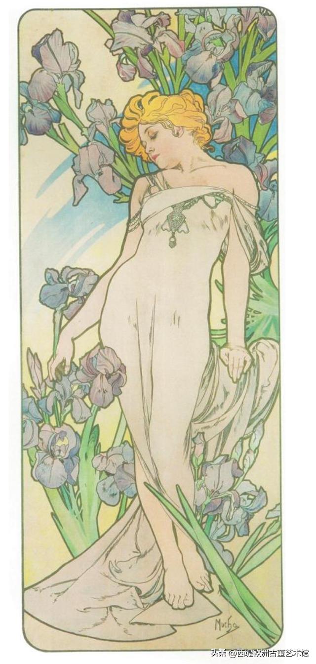 法兰西为什么被称为鸢尾花,法兰西皇室纹章鸢尾花