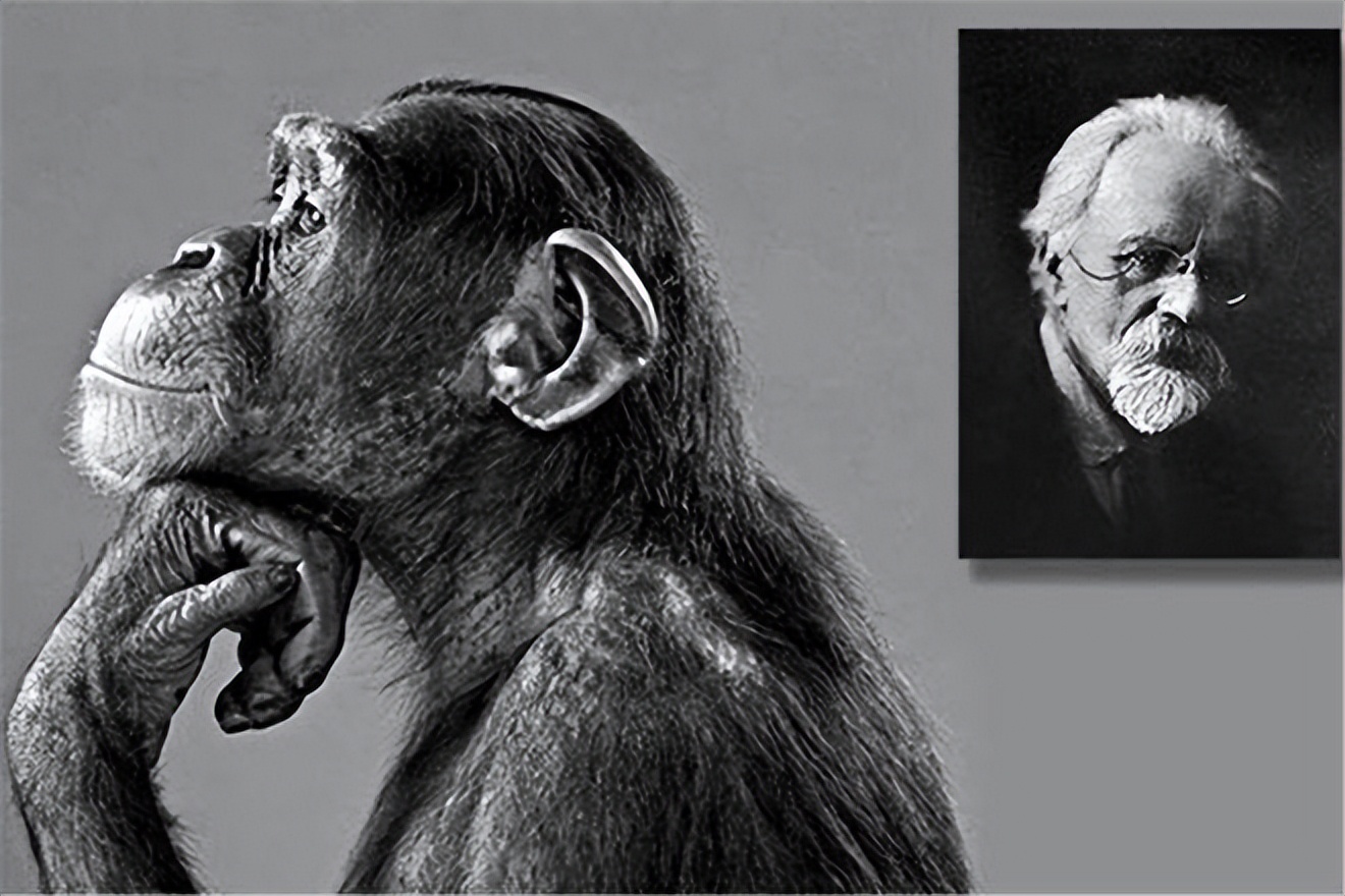 日本人动物胚胎实验长啥样,日本人动物胚胎实验