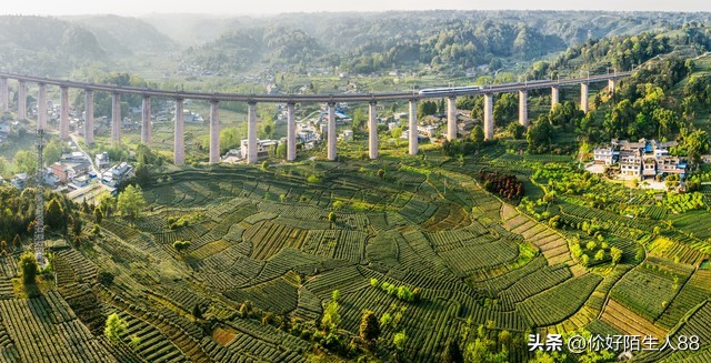 城里有房申请分户,有户无房人户分离政策