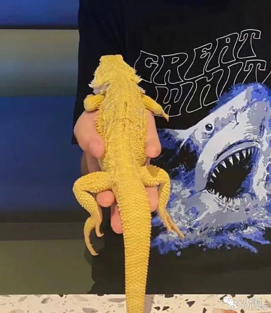 帝都有哪些好吃的餐厅,周末带娃去的餐厅推荐