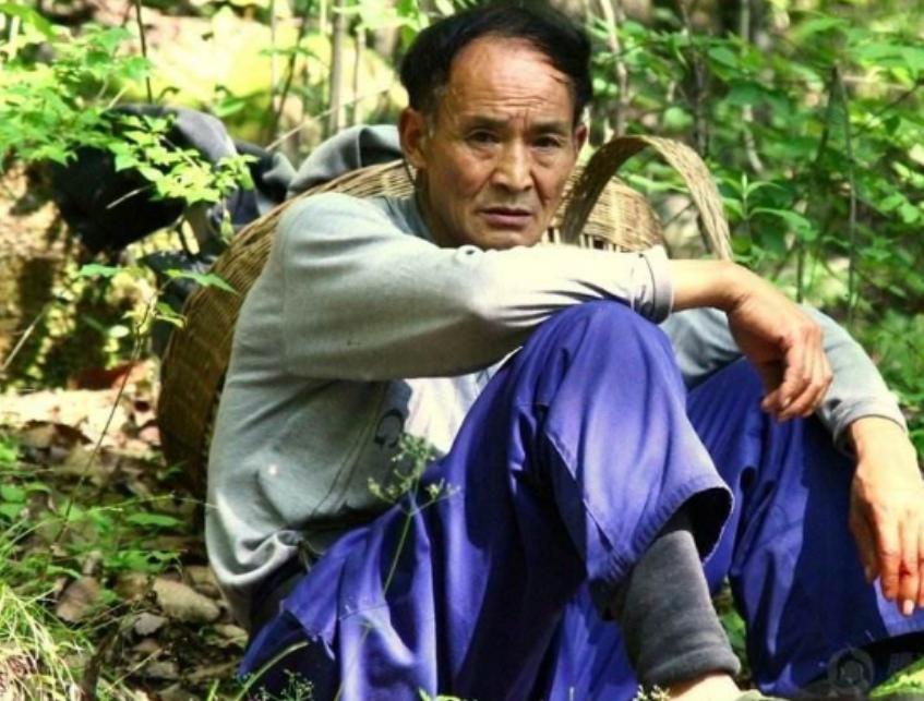 周正龙养蜂视频全集,周正龙拍假虎怎么被判刑