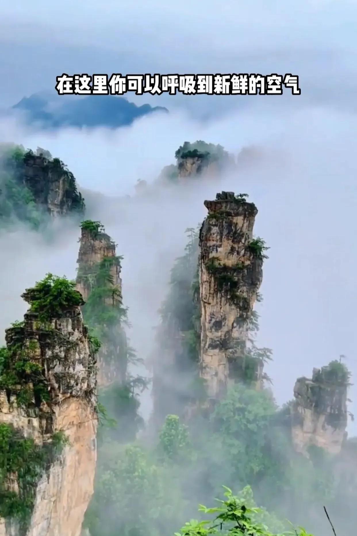 每个月适合去哪里旅游你知道吗,你知道每个月去哪里旅游吗