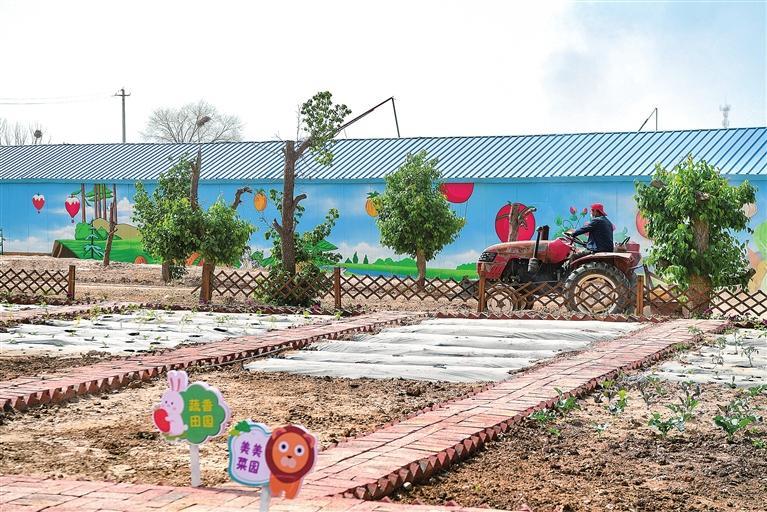 兰州新区乡村振兴生态养殖,兰州新区全力打造现代农业新样板