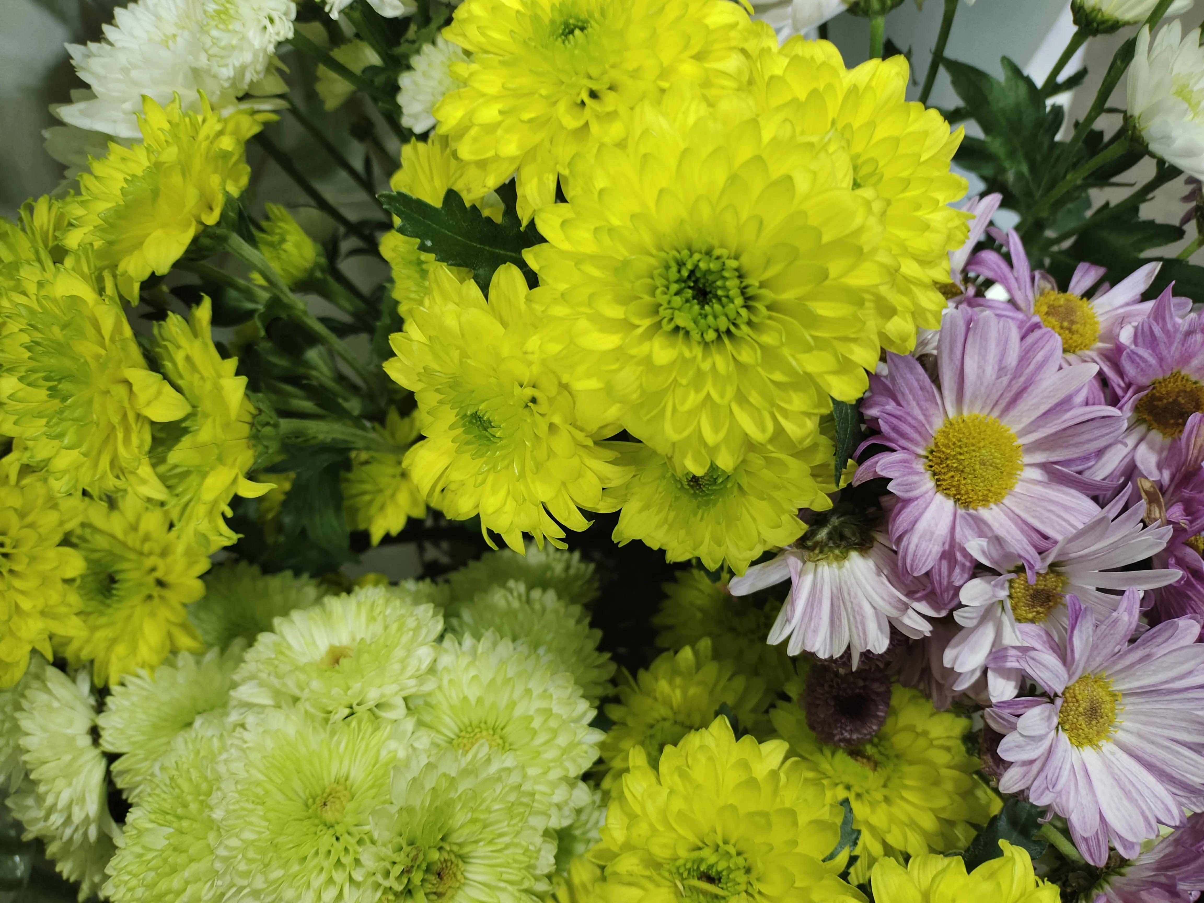 不懂装懂完整版视频,不懂装懂懂装不懂