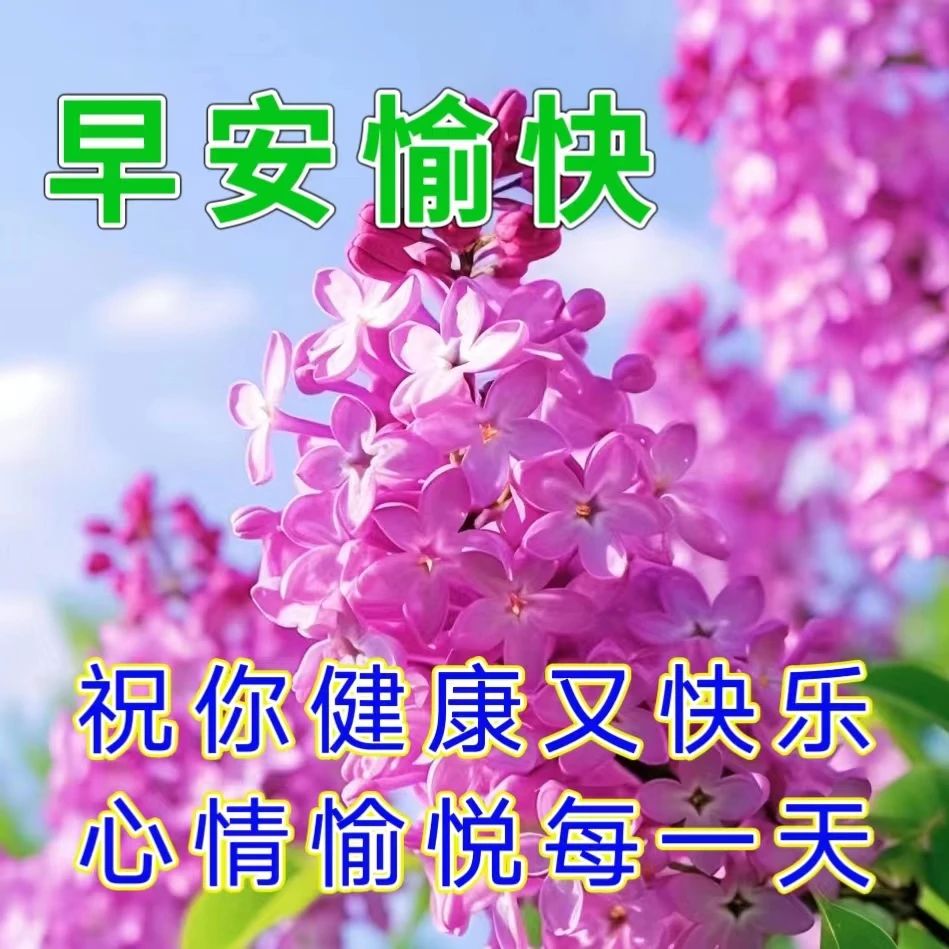 早安问候朋友带字最美图片,4月28日早安问候图片文字