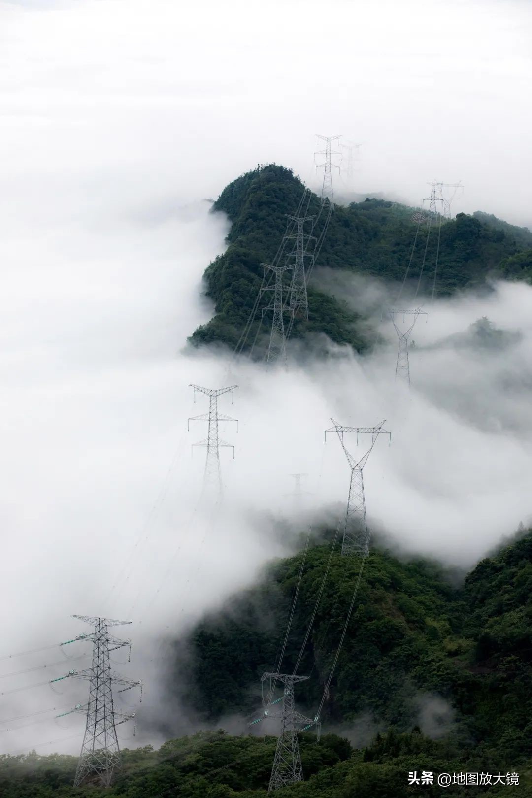 大上海强龙压过地头蛇,大上海强龙遇到地头蛇