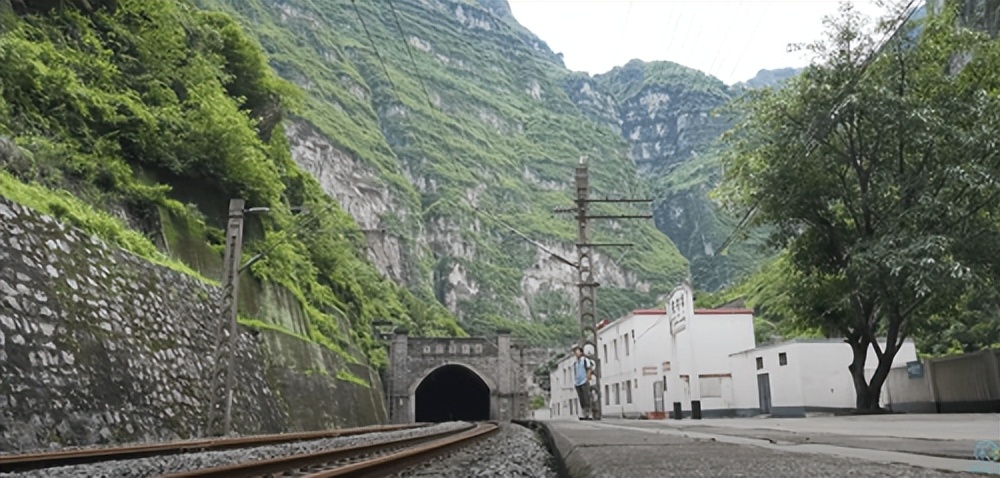 日本导演十年后再访大凉山:政府和志愿者的付出感动世界网友