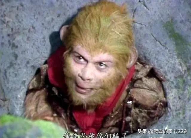 唐僧师徒谈白龙马,唐僧师徒英语对话