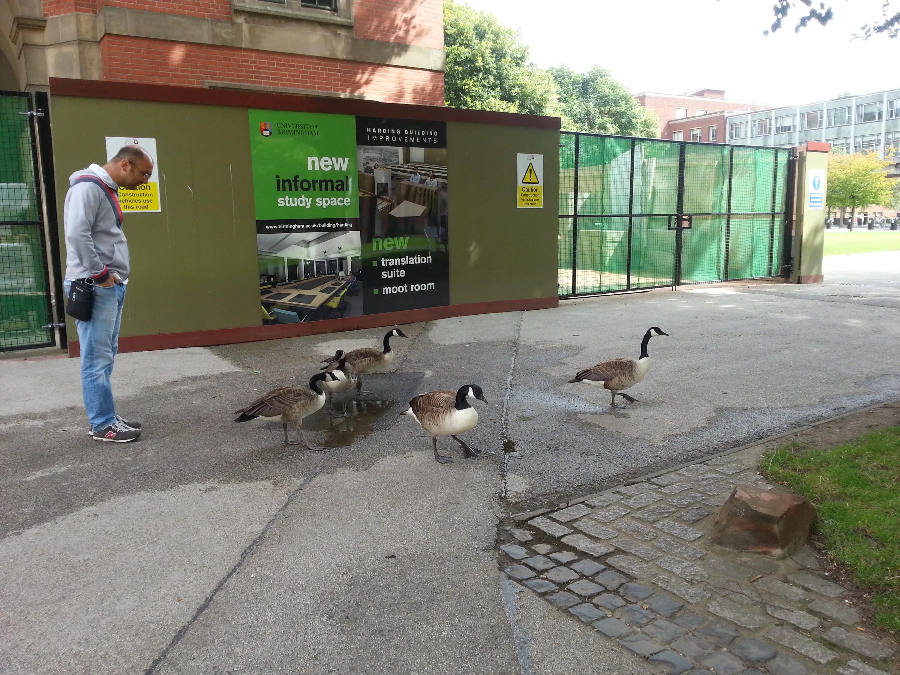 英国伯明翰留学,英国之旅伯明翰