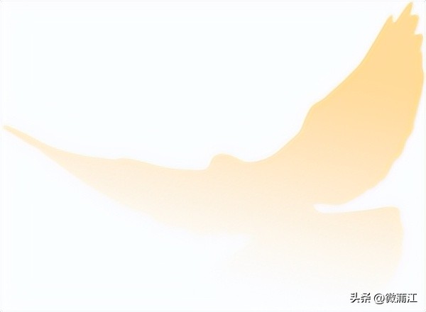 成都110中国人民警察节,成都110人民警察节