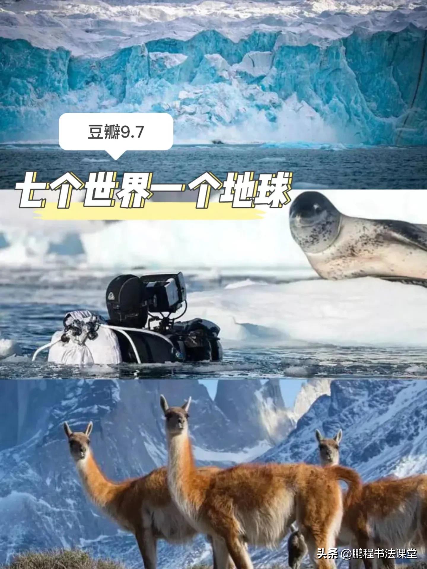 暑假看什么励志纪录片,暑假安排四张卷子看两部纪录片