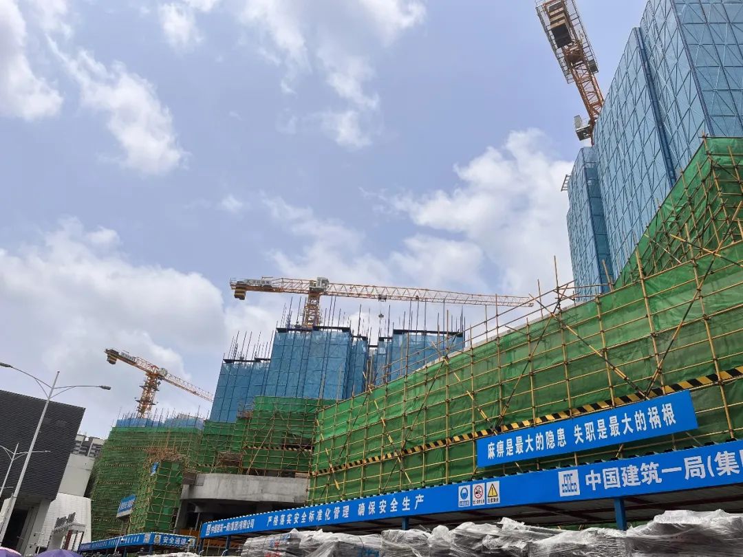 光明1.0刀测评,光明11