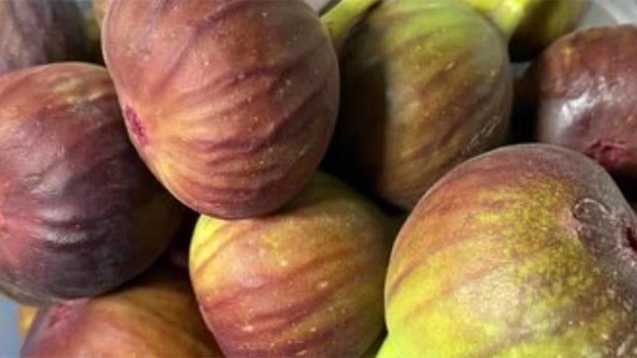 无花果营养价值高不高,无花果鲜果营养价值