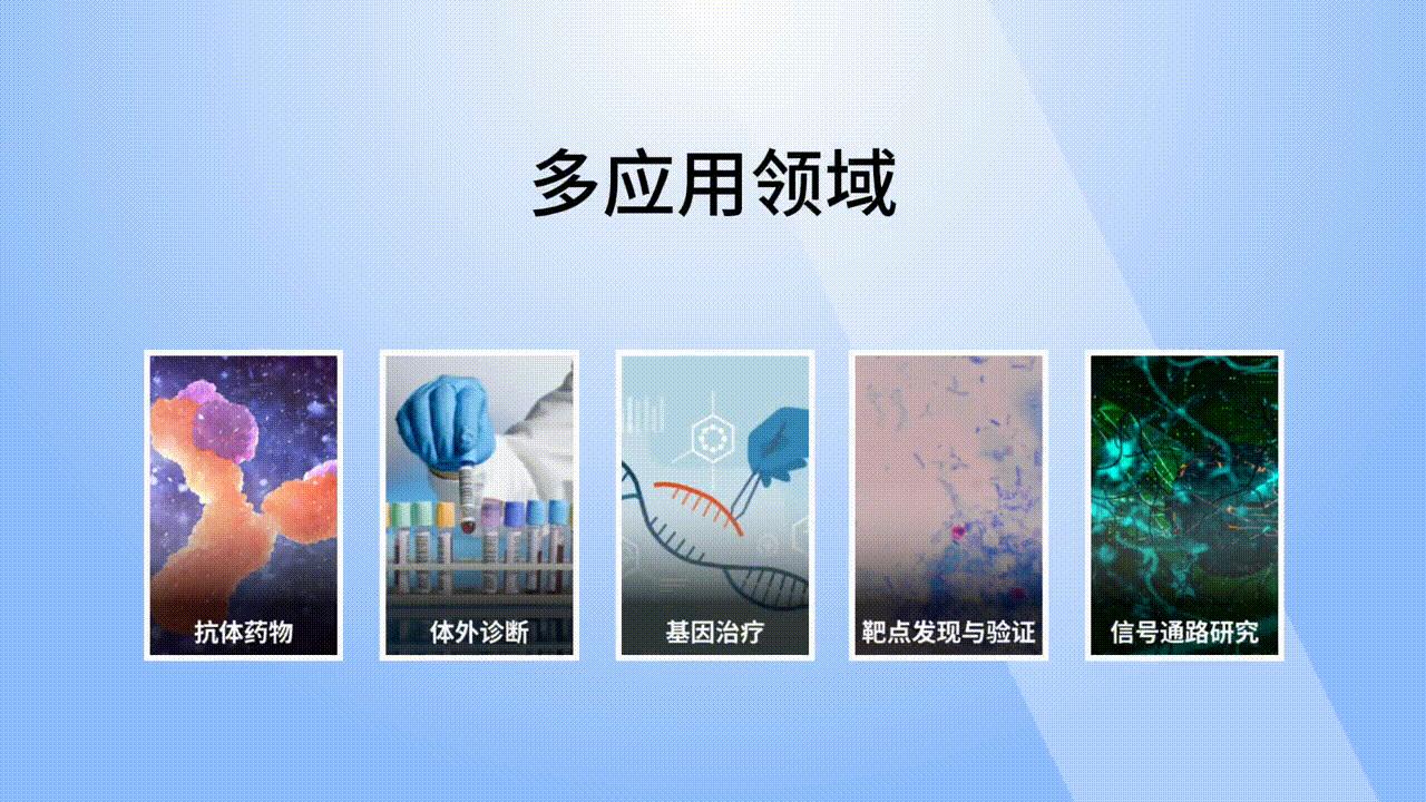 成套设备检测仪,检测仪参数解读