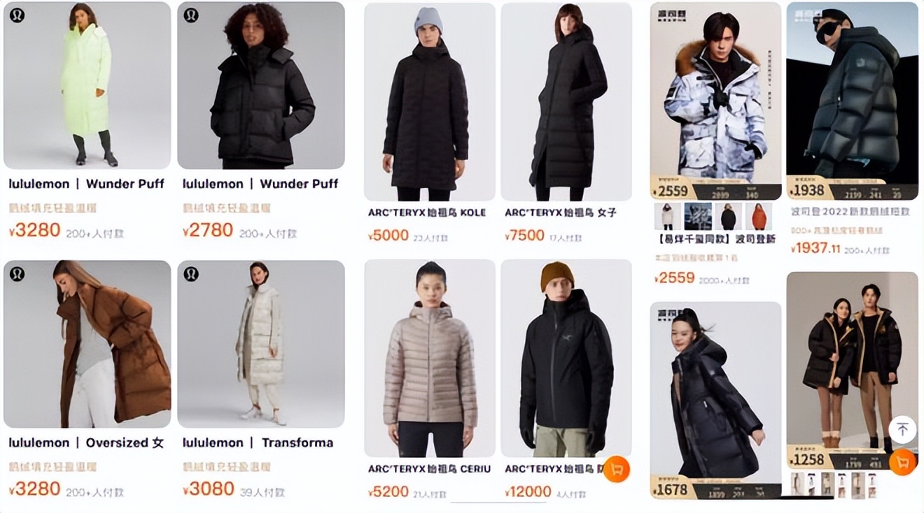 为什么羽绒服越来越贵,羽绒服为什么越来越贵