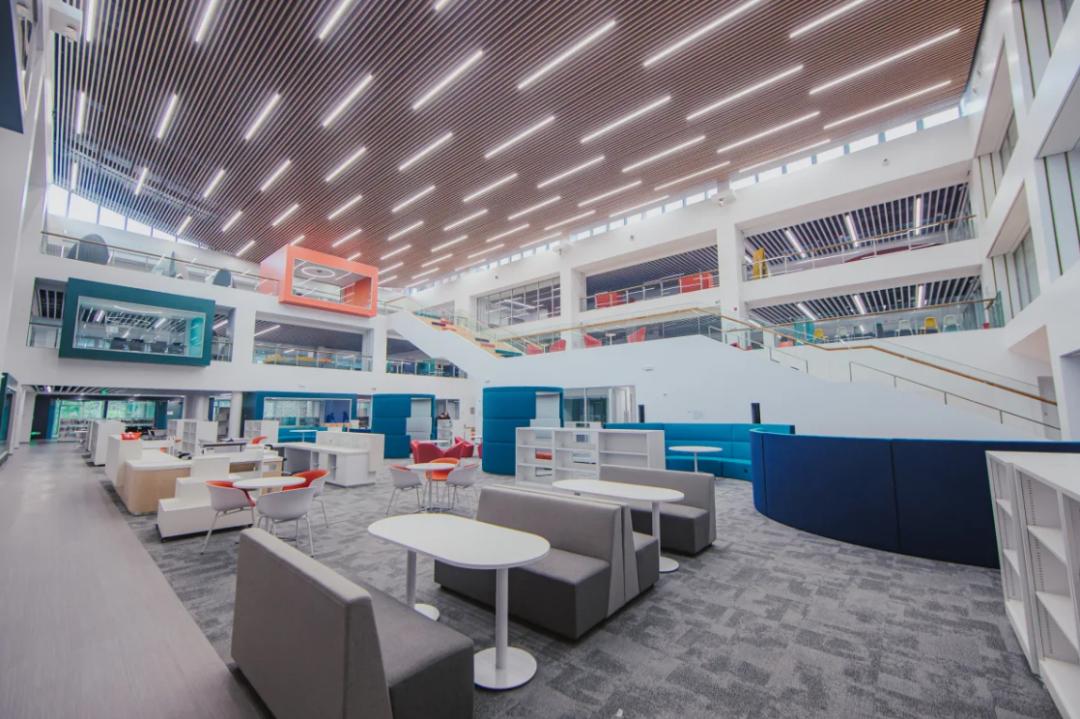 大湾区世界名校,大湾区国际学校发展现状