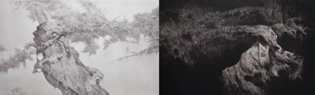 一代乐坛才女的传奇人生：花十余年，收藏千件宝贝