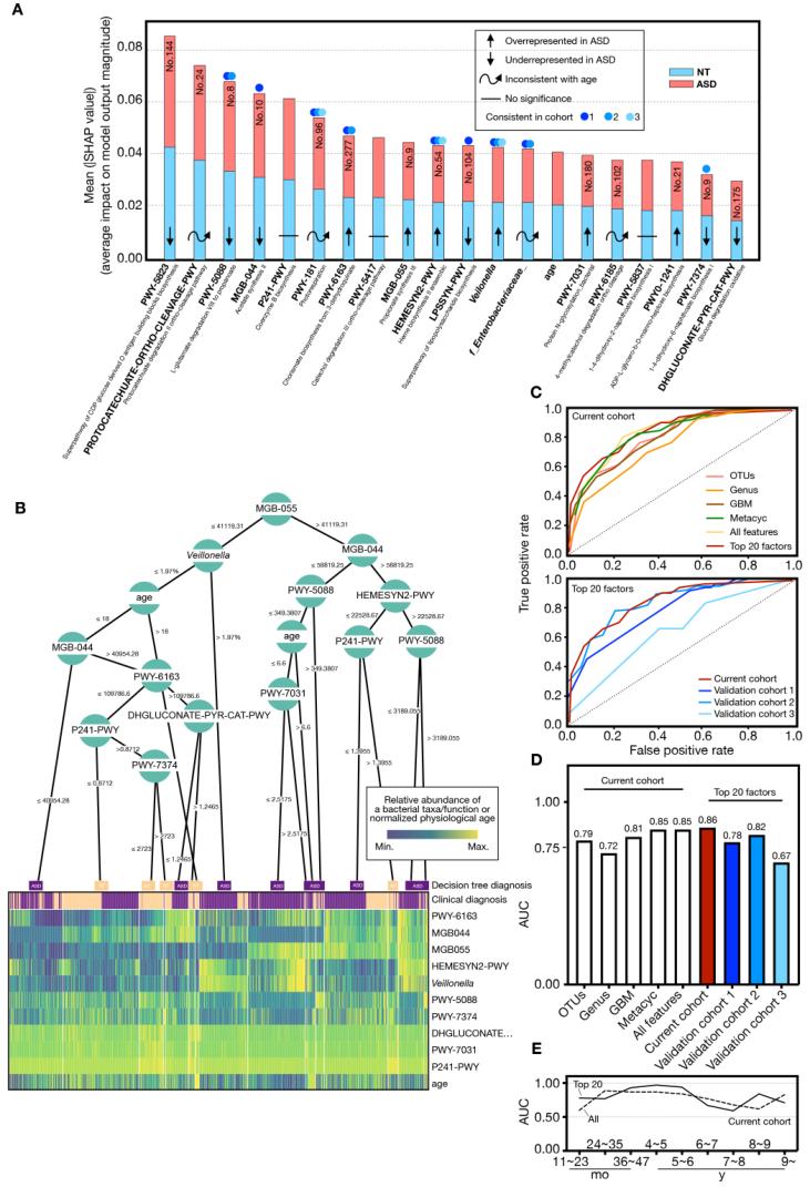 肠道菌群和抑郁精神疾病的关系,肠道菌群与抑郁症及自闭症