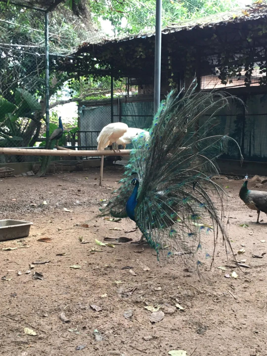 旭光电动车行,旭光车行向阳路