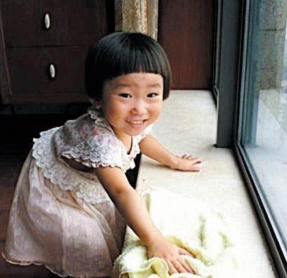 小伊伊温州动车,温州小伊伊事件