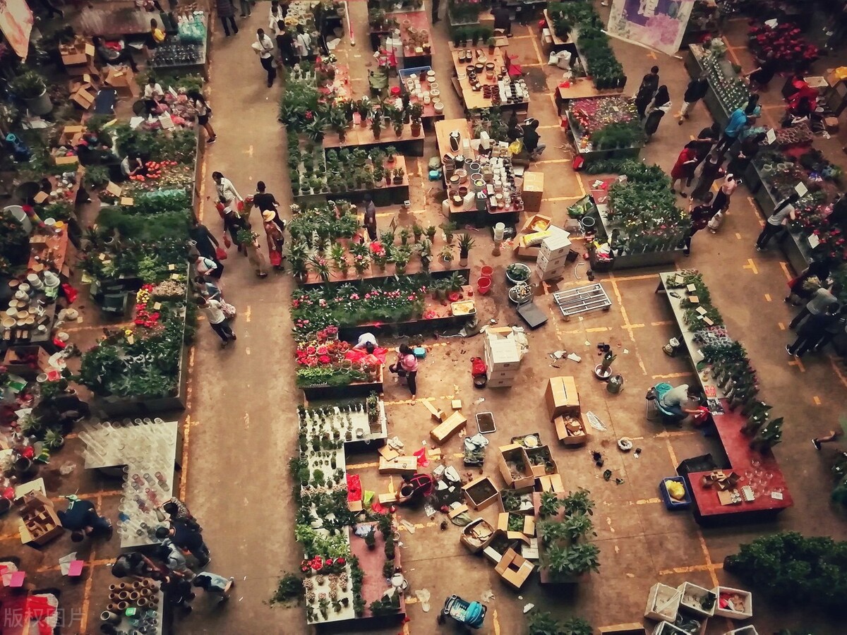 云南昆明春城游玩攻略,春城之约昆明旅游攻略