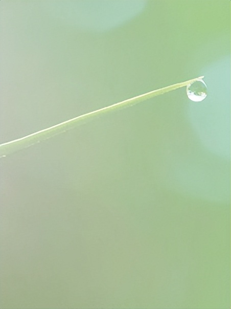 阆中诗词名句大全,阆中古城诗词大全