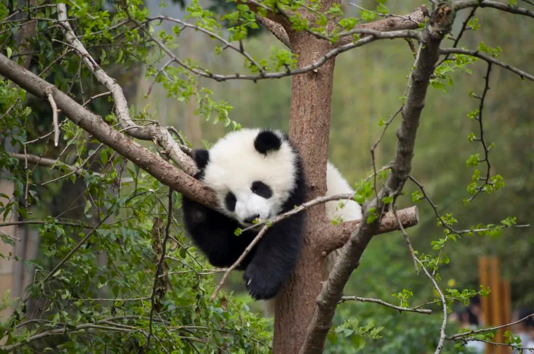 南昌至兰州的特价机票是多少钱,兰州10天内特价机票