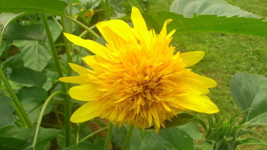 赚钱是世上最好的修行读后感,赚钱是最好的生意是一种修行