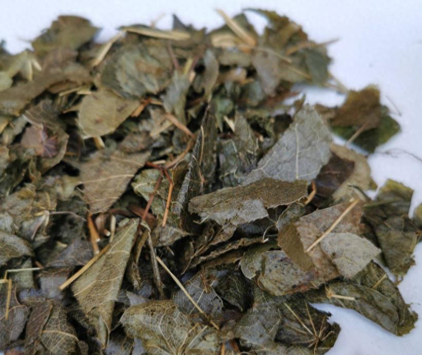 性学实验,生理学探索性实验