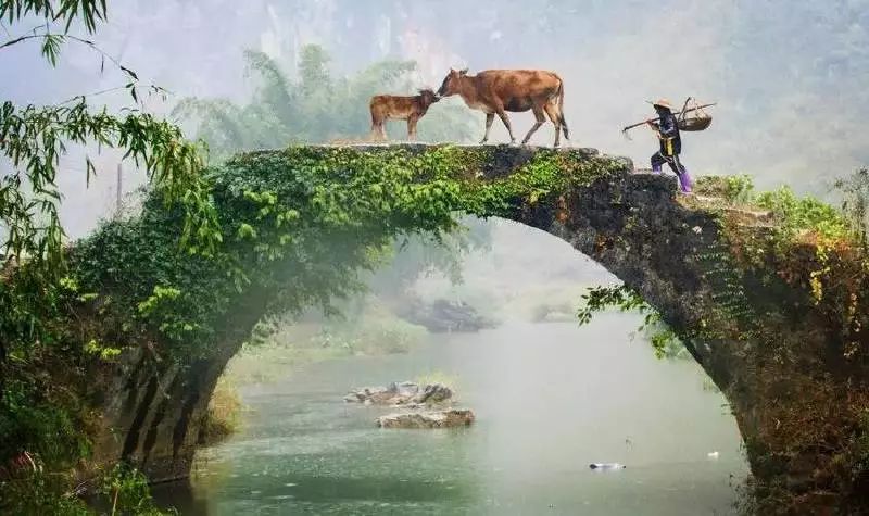 夏天三伏天最适合避暑的城市,三伏天避暑胜地北戴河