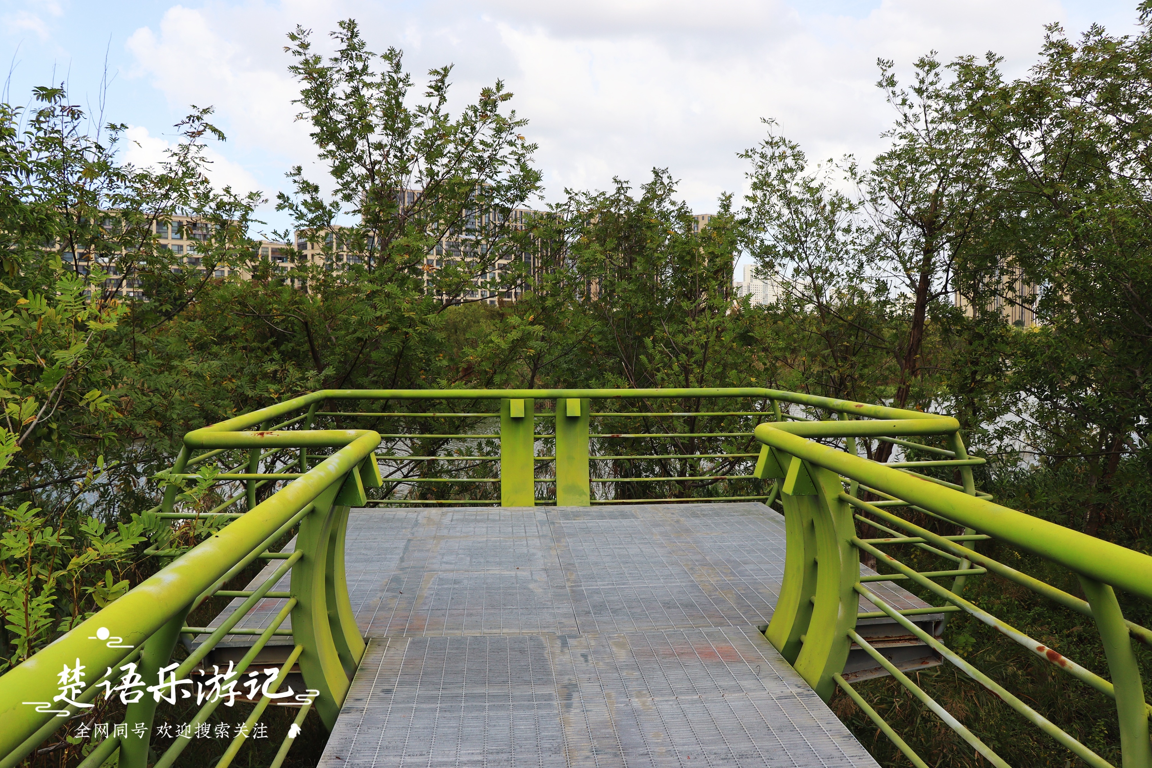 宁波最浪漫的粉黛花海,宁波油菜花海景区