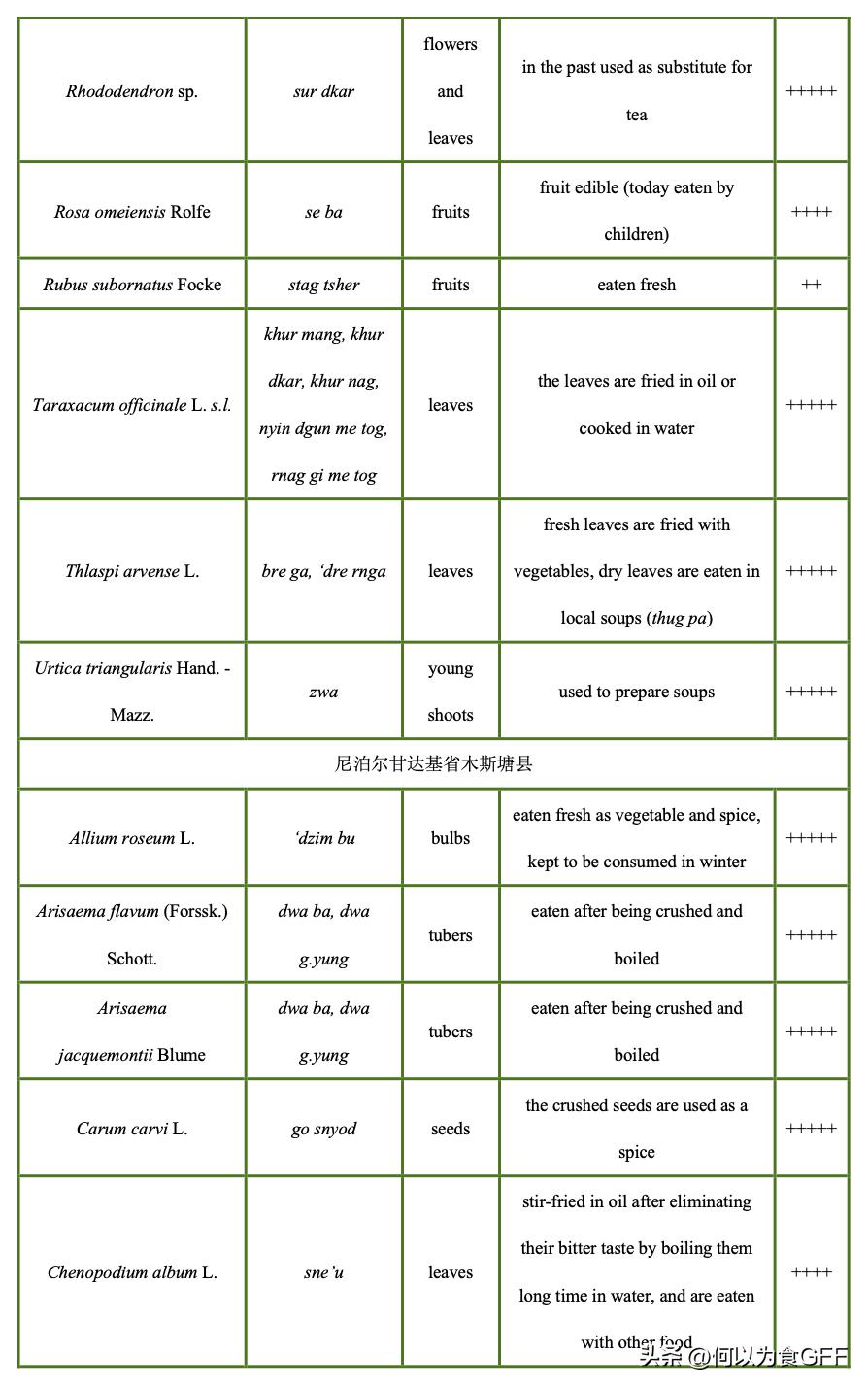 高原藏区野菜,藏区野菜