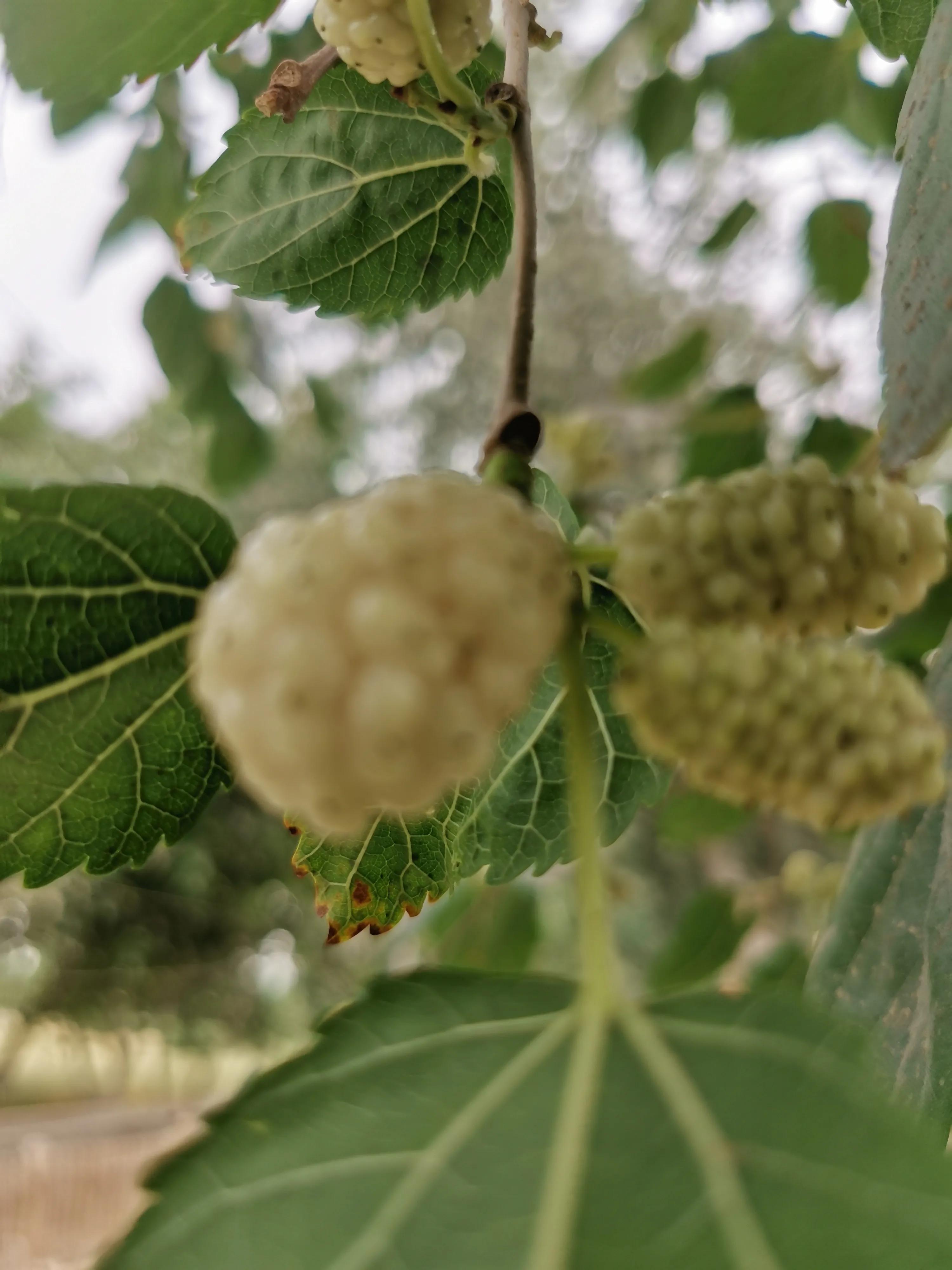 骑行新疆喀什噶尔,和田至阿拉尔沙漠公路骑行攻略
