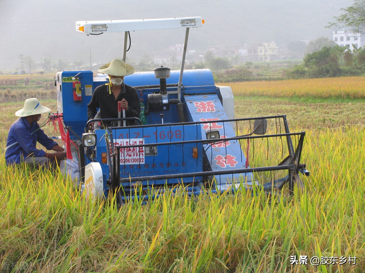 2022年虎下山什么意思,壬寅虎下山是什么意思