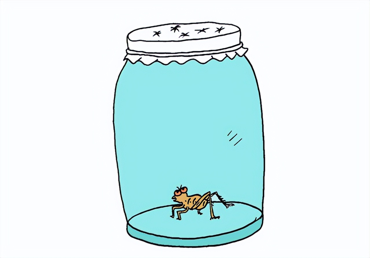 韩国年轻人的“考公”秘籍：睡四个小时就能上岸