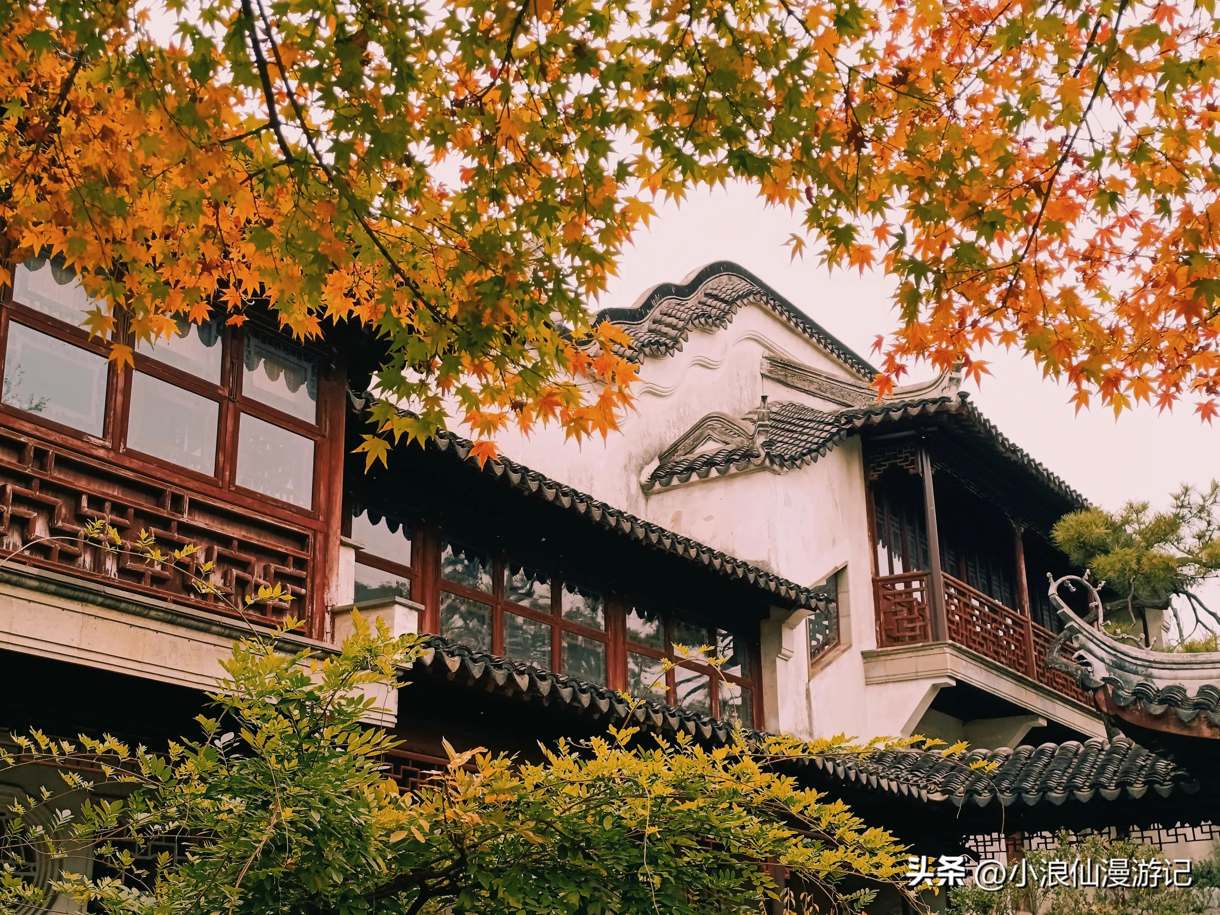 苏州天平山赏枫品茶的句子,苏州赏枫除了天平山还有哪