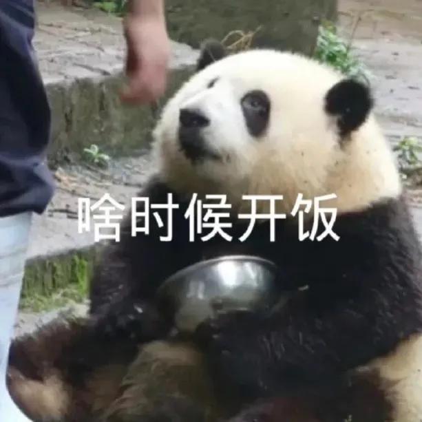 沙雕搞笑表情包头像,沙雕搞笑表情包图片静图