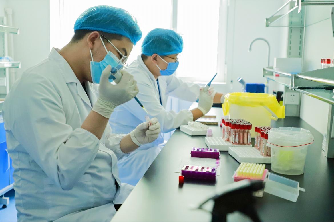 走出杨凌看示范︱奶绵羊乳肉兼用“芯”样本