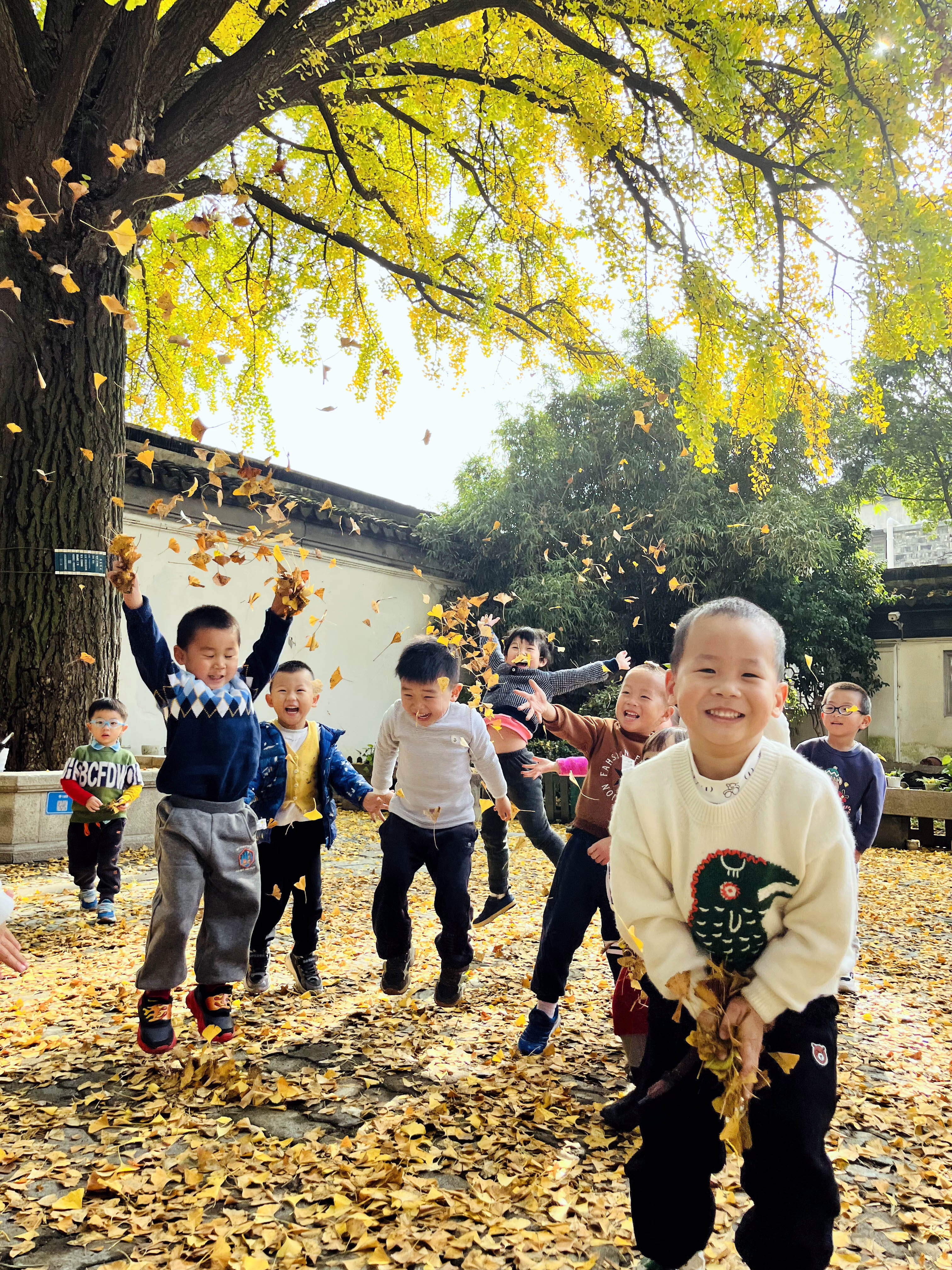 和孩子一起玩银杏叶,银杏叶和小朋友互动