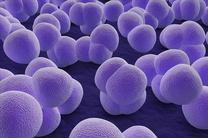 对于医治患者混合痔术后并发症，使用青枝方坐浴的治疗效果如何？