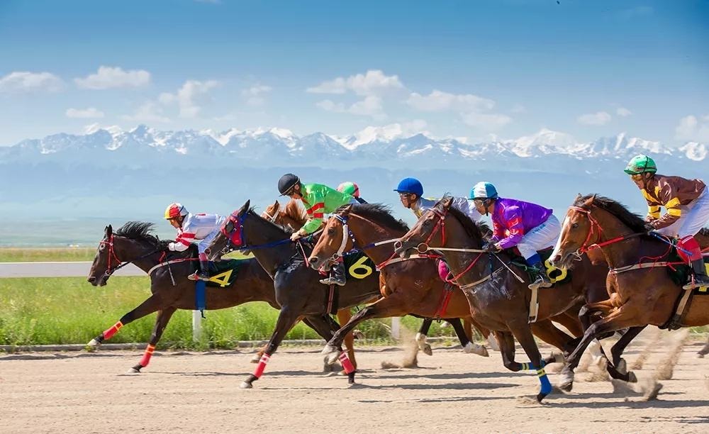 马必须要装马蹄铁吗,马为什么要佩戴马蹄铁